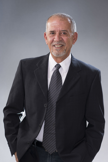 Arq. Belisario Domínguez Romero - Servicios